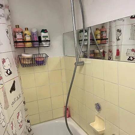 Ruhige Wohlfuehloase Unterm Dach Νυρεμβέργη
